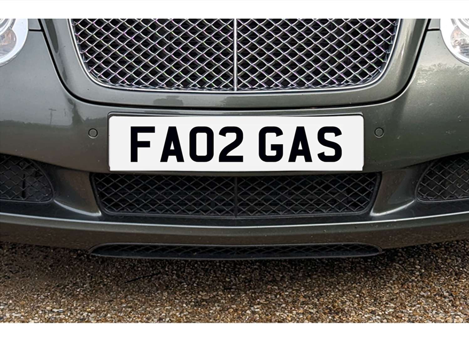 <p>&nbsp; FA02 GAS Registration Number</p>