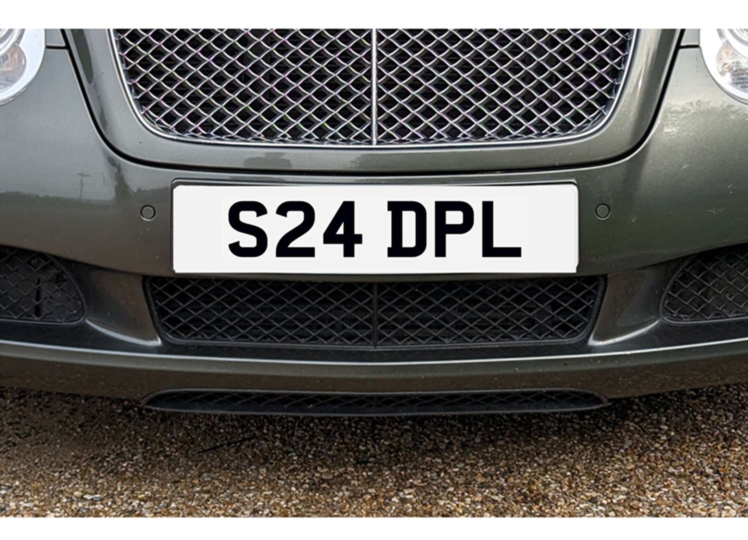 <p>&nbsp; S24 DPL Registration Number&nbsp;</p>