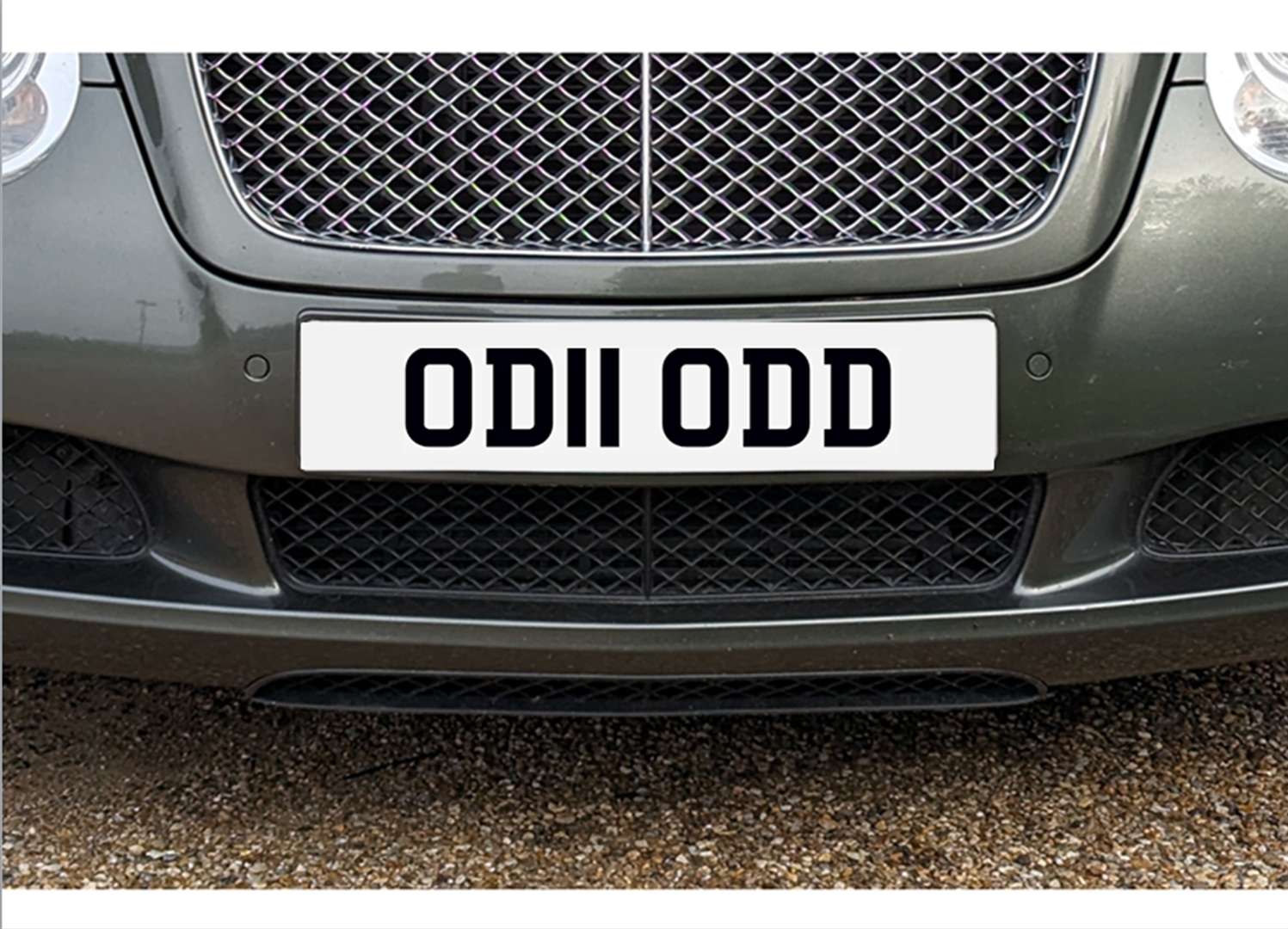 <p>&nbsp;OD11 ODD Registration number</p>