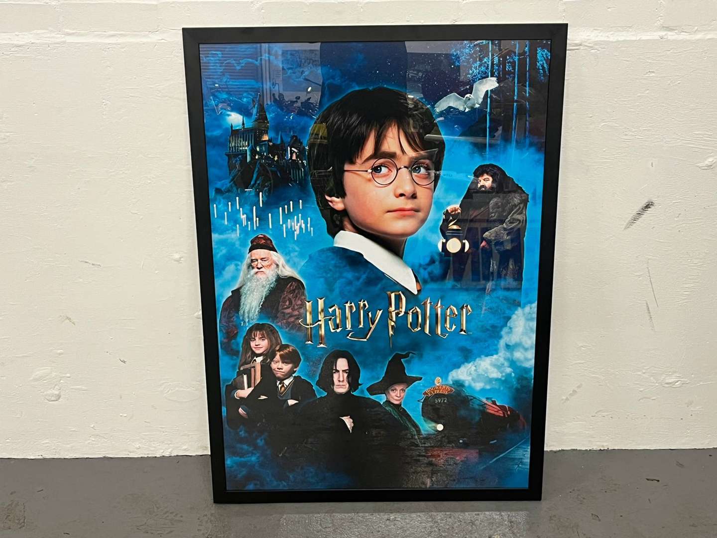 <p>Harry Potter Framed Poster</p>