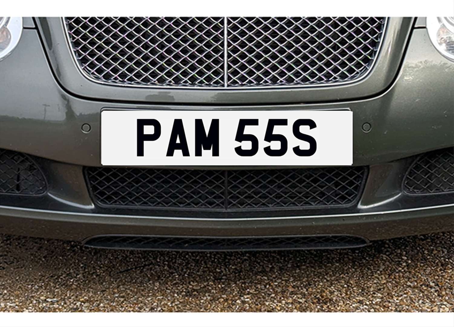 <p>&nbsp; PAM 55S Registration number</p>