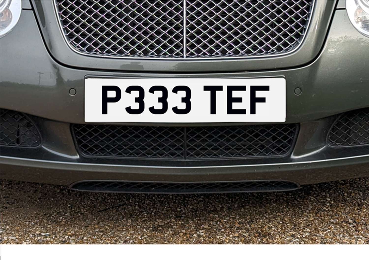 <p>&nbsp; P333 TEF Registration number&nbsp;</p>