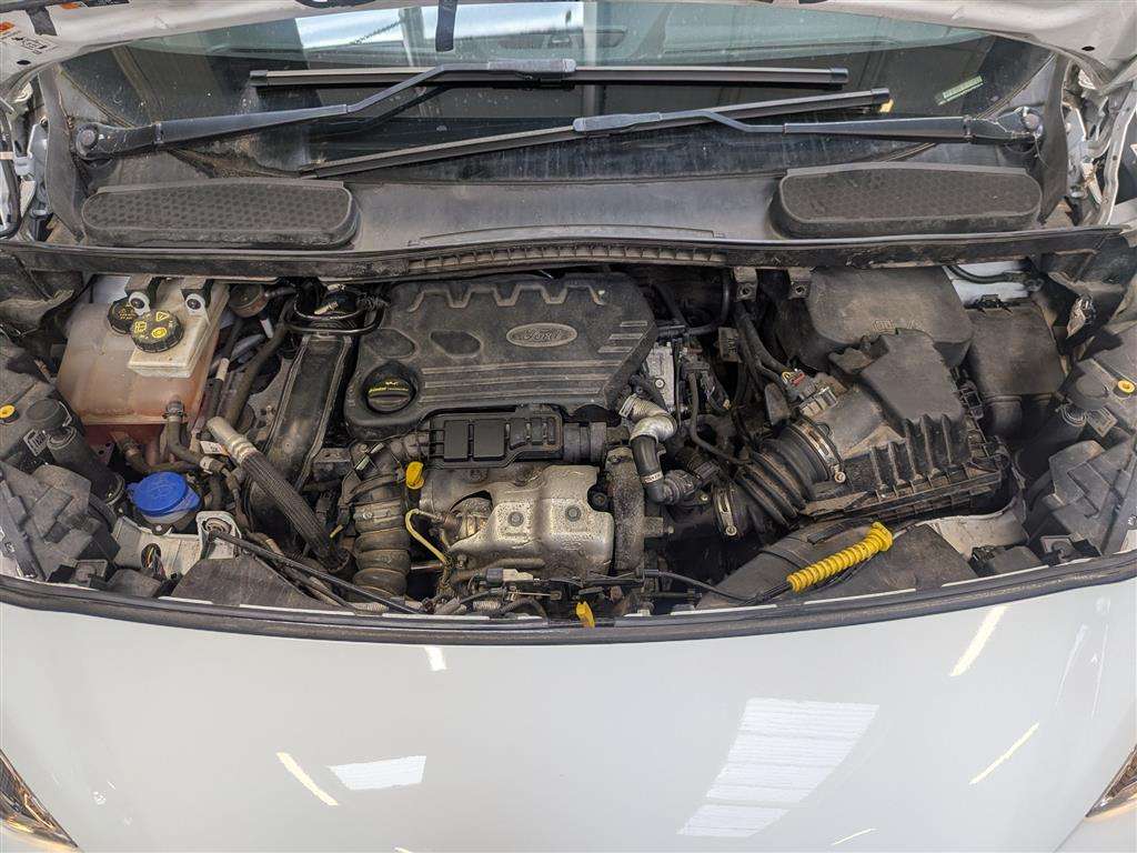 <p>2019 FORD TRANSIT CONNECT 210 TREND</p>