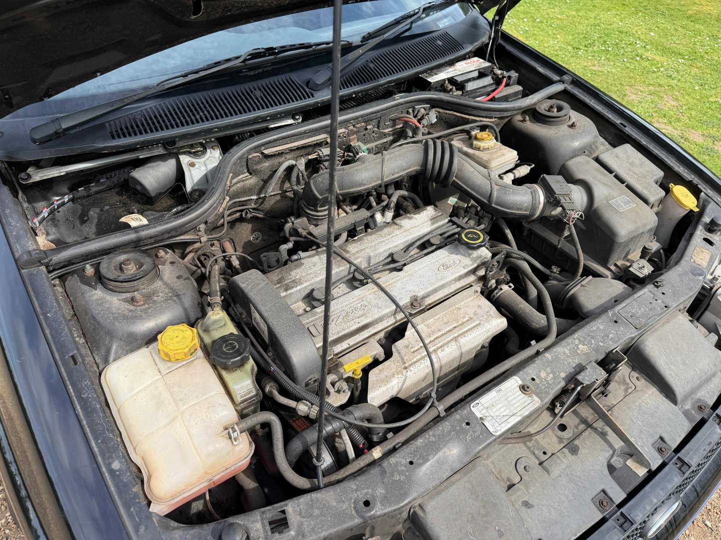 <p>2000 FORD ESCORT FINESSE</p>