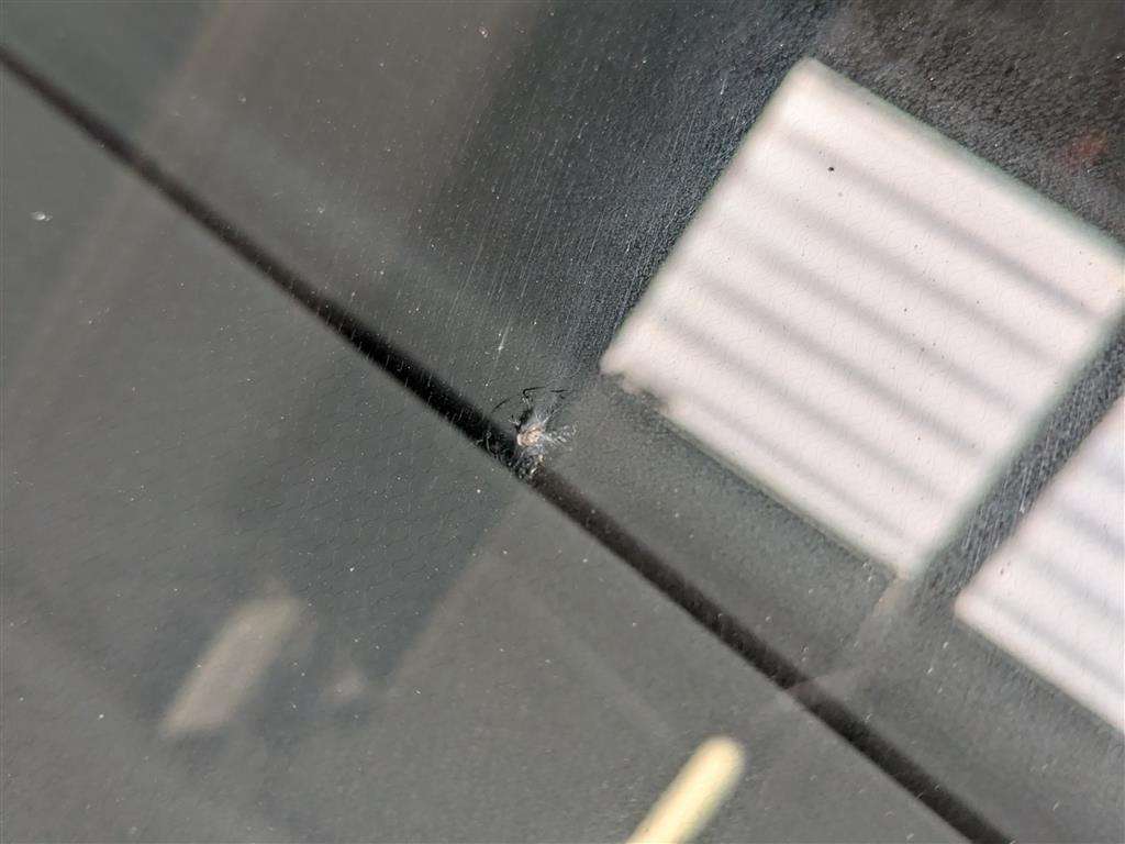 <p>2009 FORD FOCUS ZETEC TDCI 109</p>