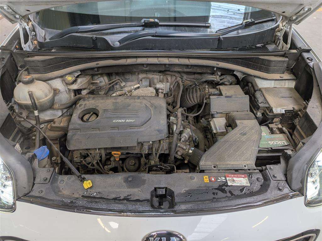 <p>2017 KIA SPORTAGE GTLINE ED CRDI I</p>