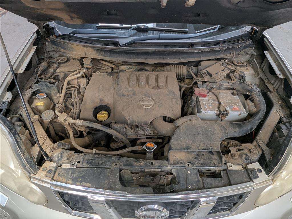 <p>2008 NISSAN X-TRAIL AVENTURA EXP DCIA</p>