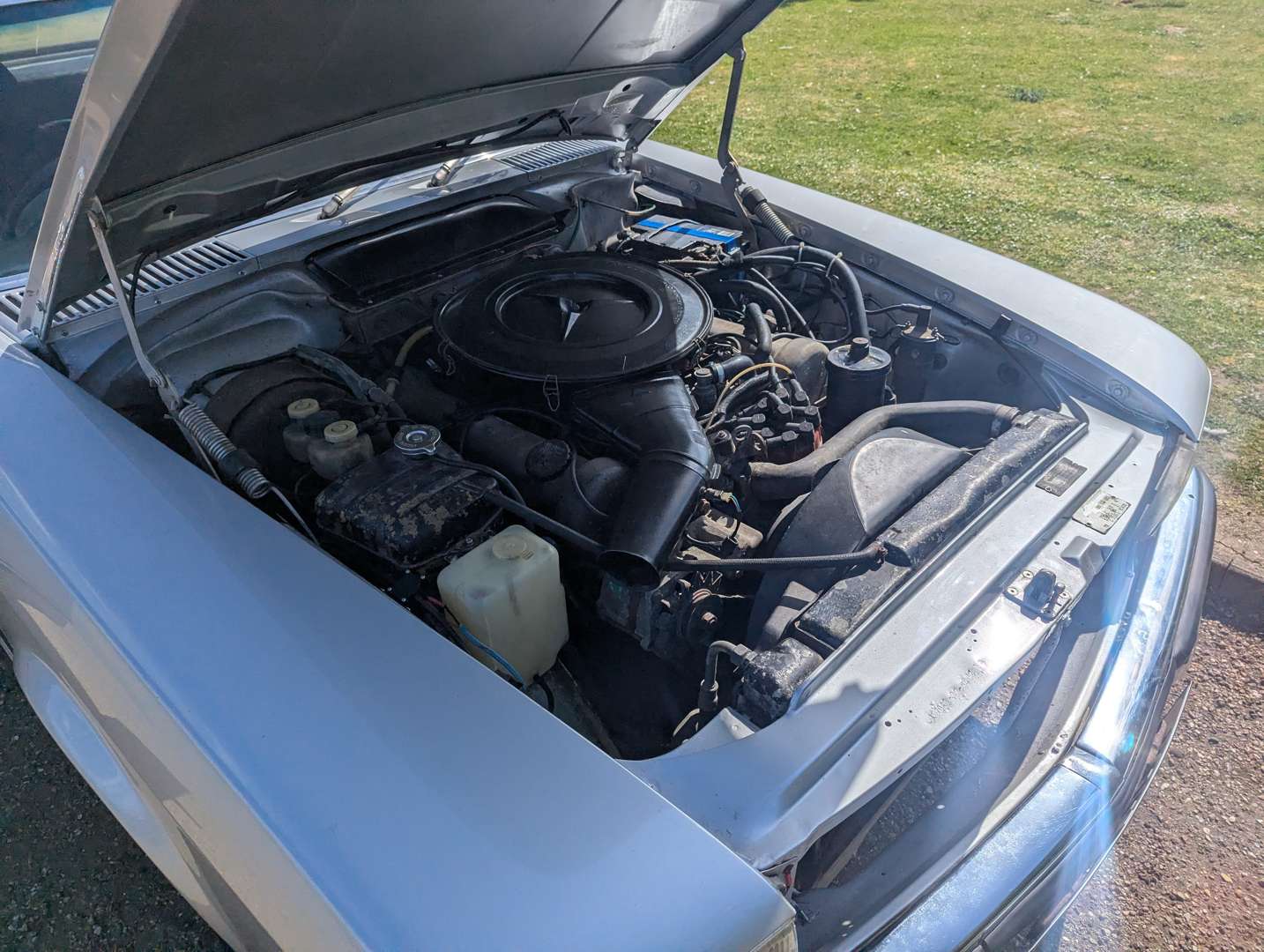 <p>1972 MERCEDES R107 350SL</p>