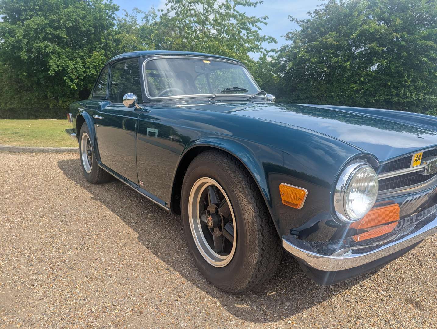 <p>1976 TRIUMPH TR6</p>
