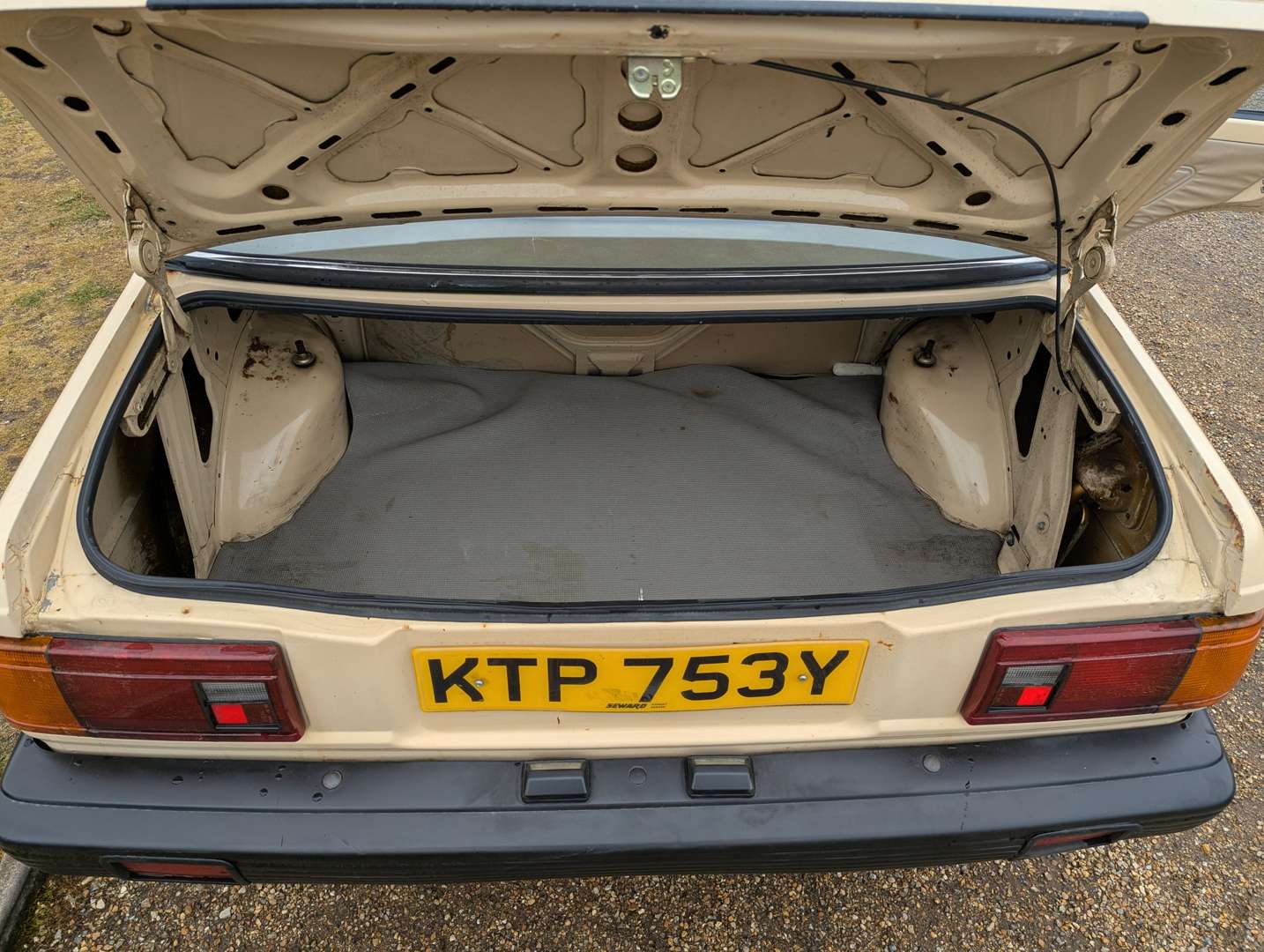 <p>1982 DATSUN SUNNY 1.5 DX</p>