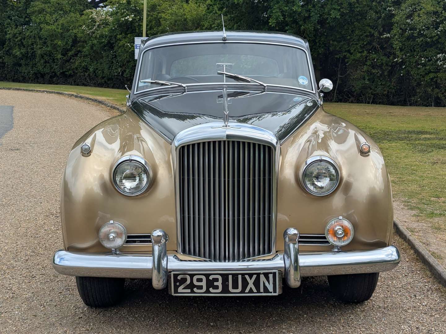 <p>1962 BENTLEY S2</p>