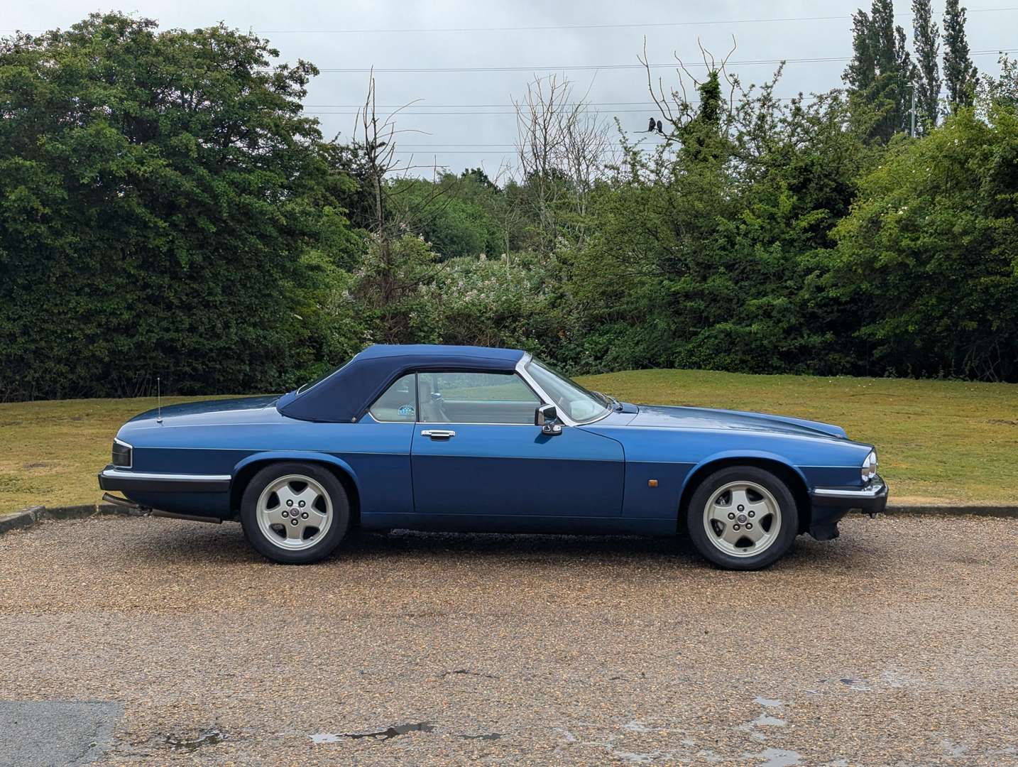 <p>1991 JAGUAR XJS 5.3 V12 AUTO CONVERTIBLE</p>