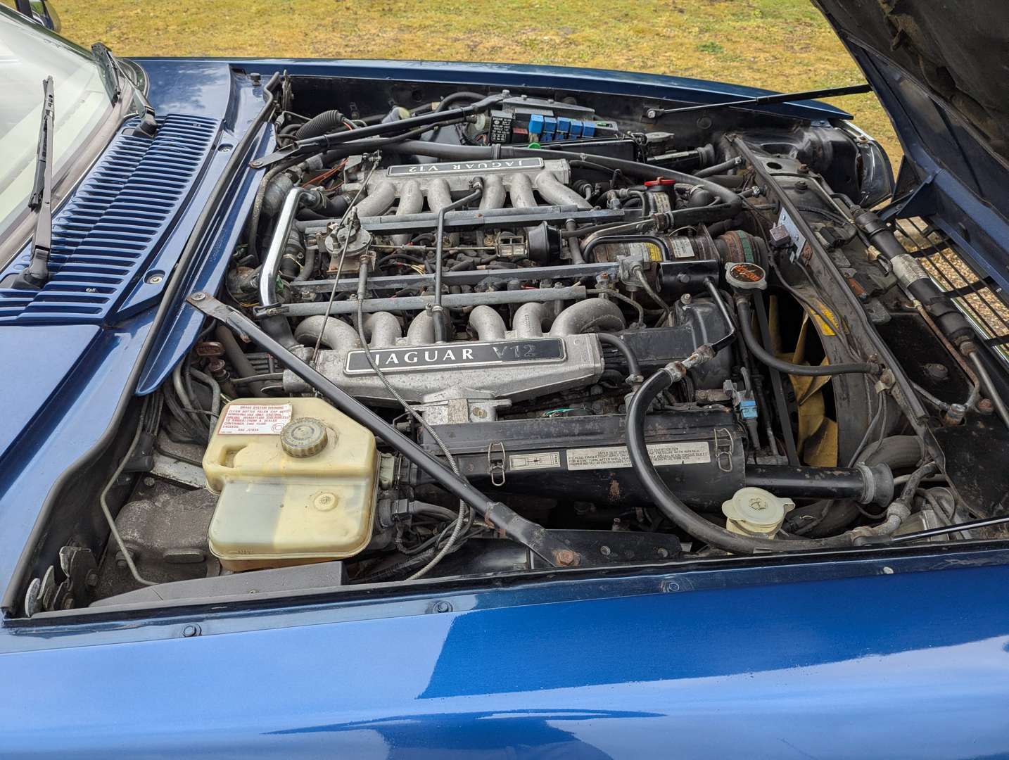 <p>1991 JAGUAR XJS 5.3 V12 AUTO CONVERTIBLE</p>