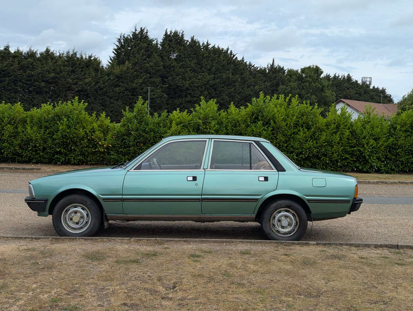 <p>1982 PEUGEOT 505</p>