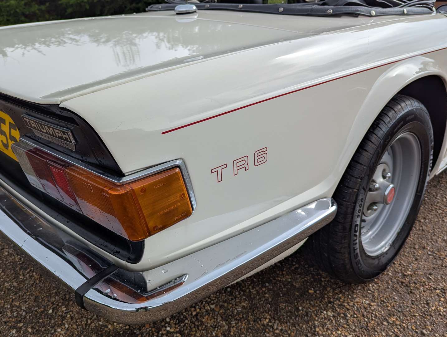 <p>1975 TRIUMPH TR6</p>