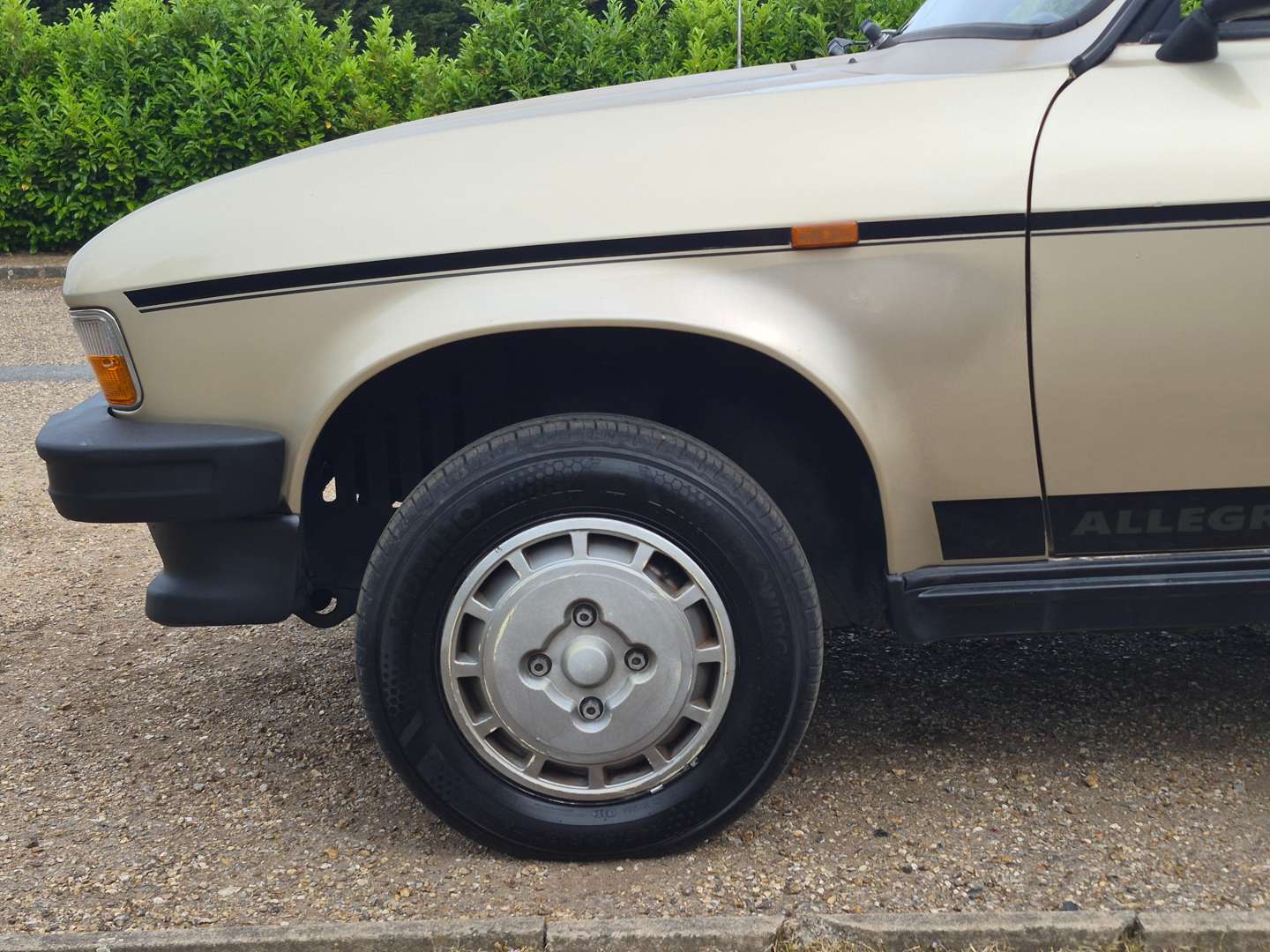 <p>1981 AUSTIN ALLEGRO HL</p>