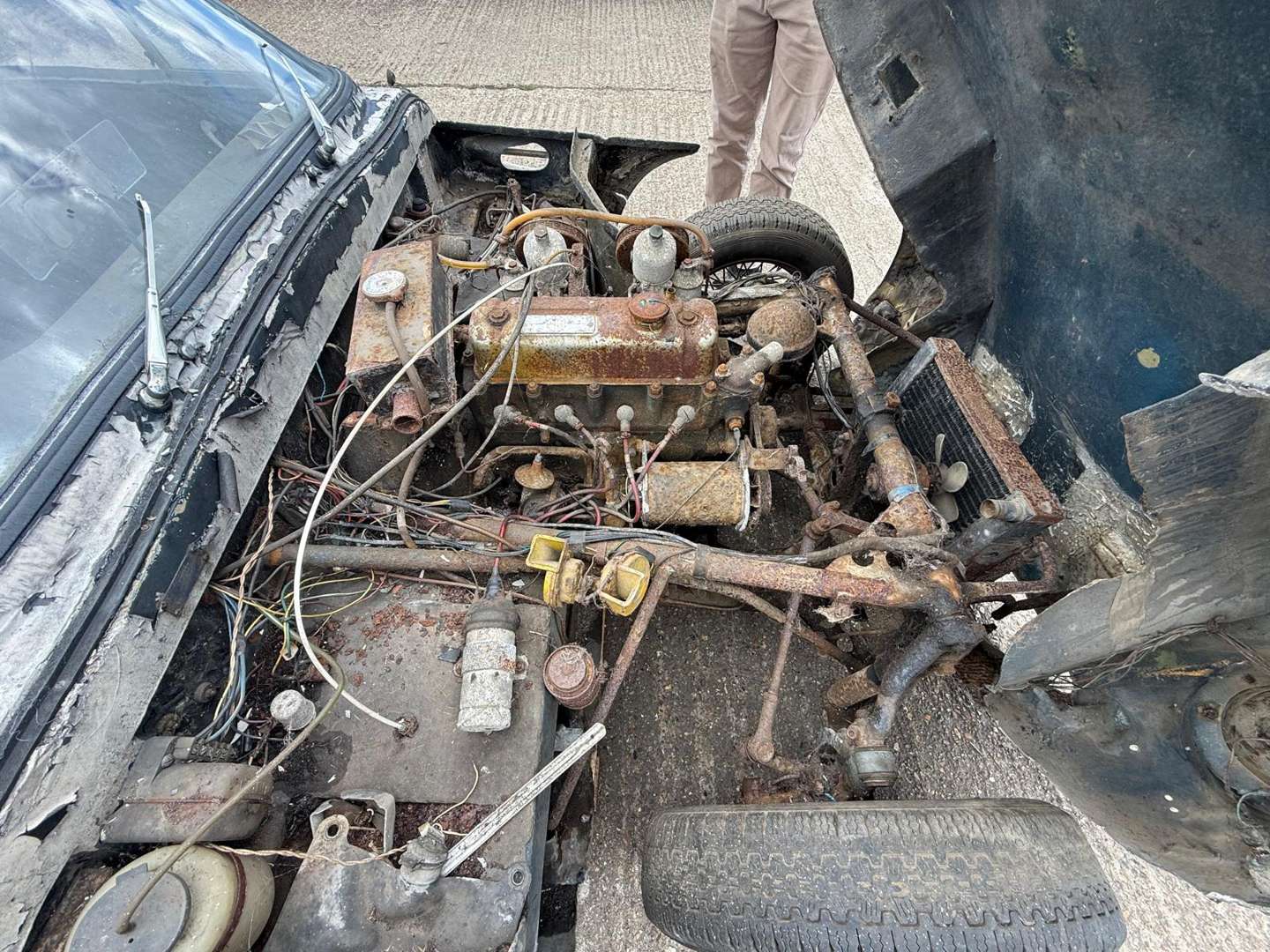 <p>1962 TVR GRANTURA MKII A</p>