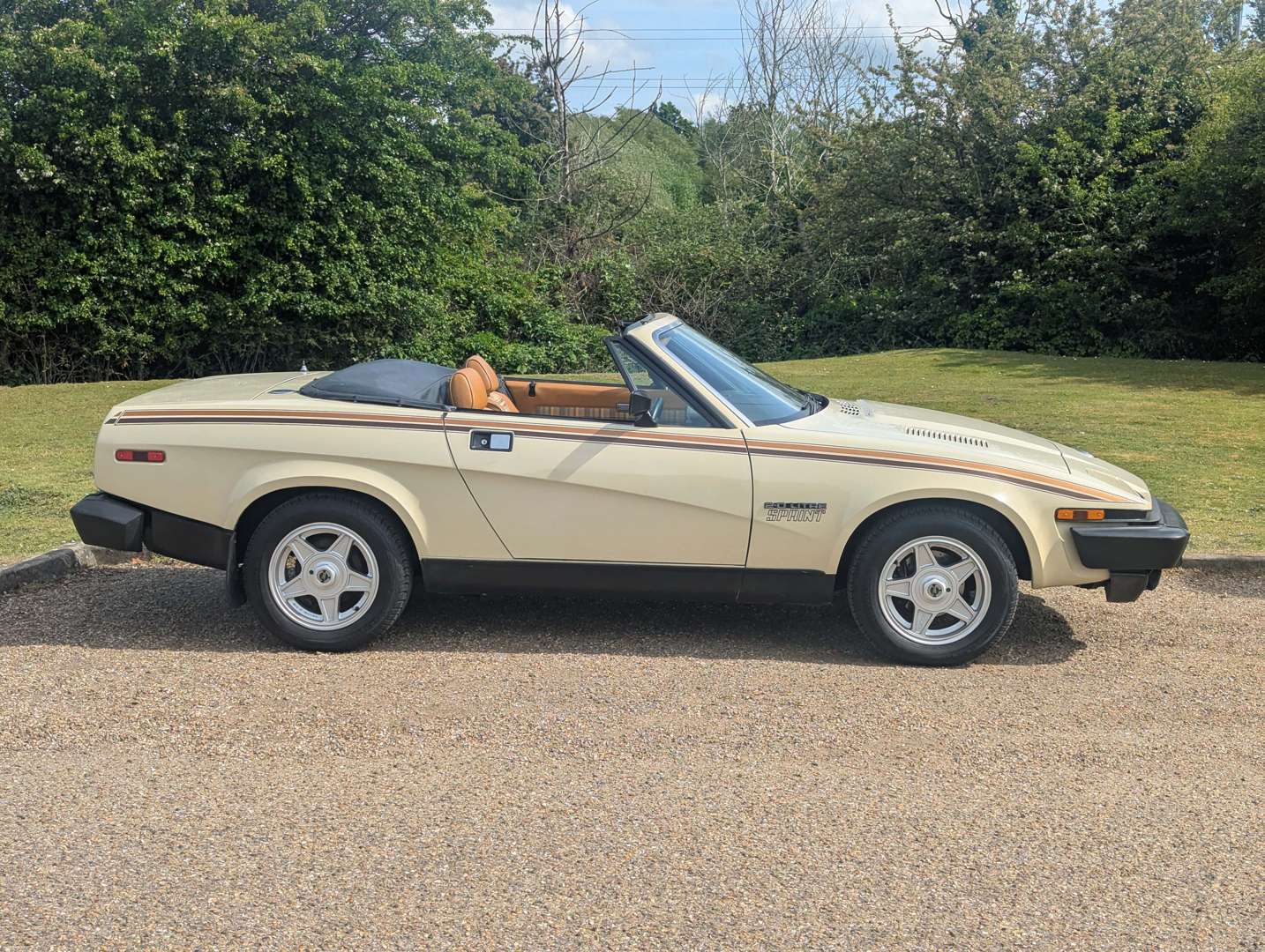 <p>1982 TRIUMPH TR7 CONVERTIBLE</p>