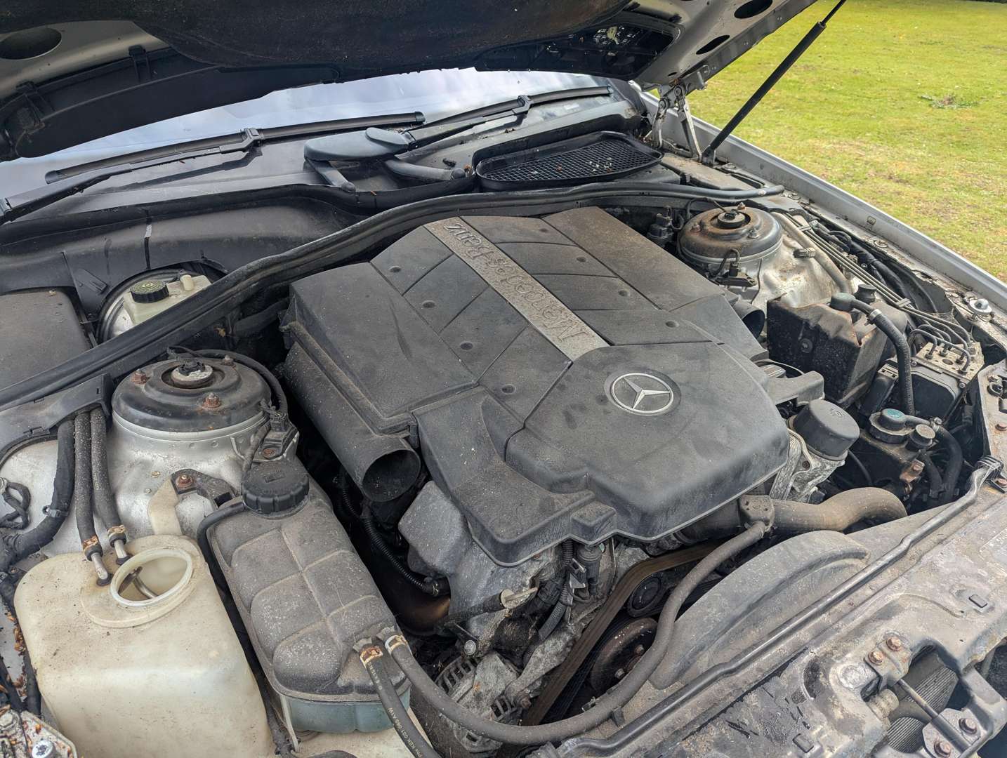 <p>2002 MERCEDES CL500 AUTO</p>