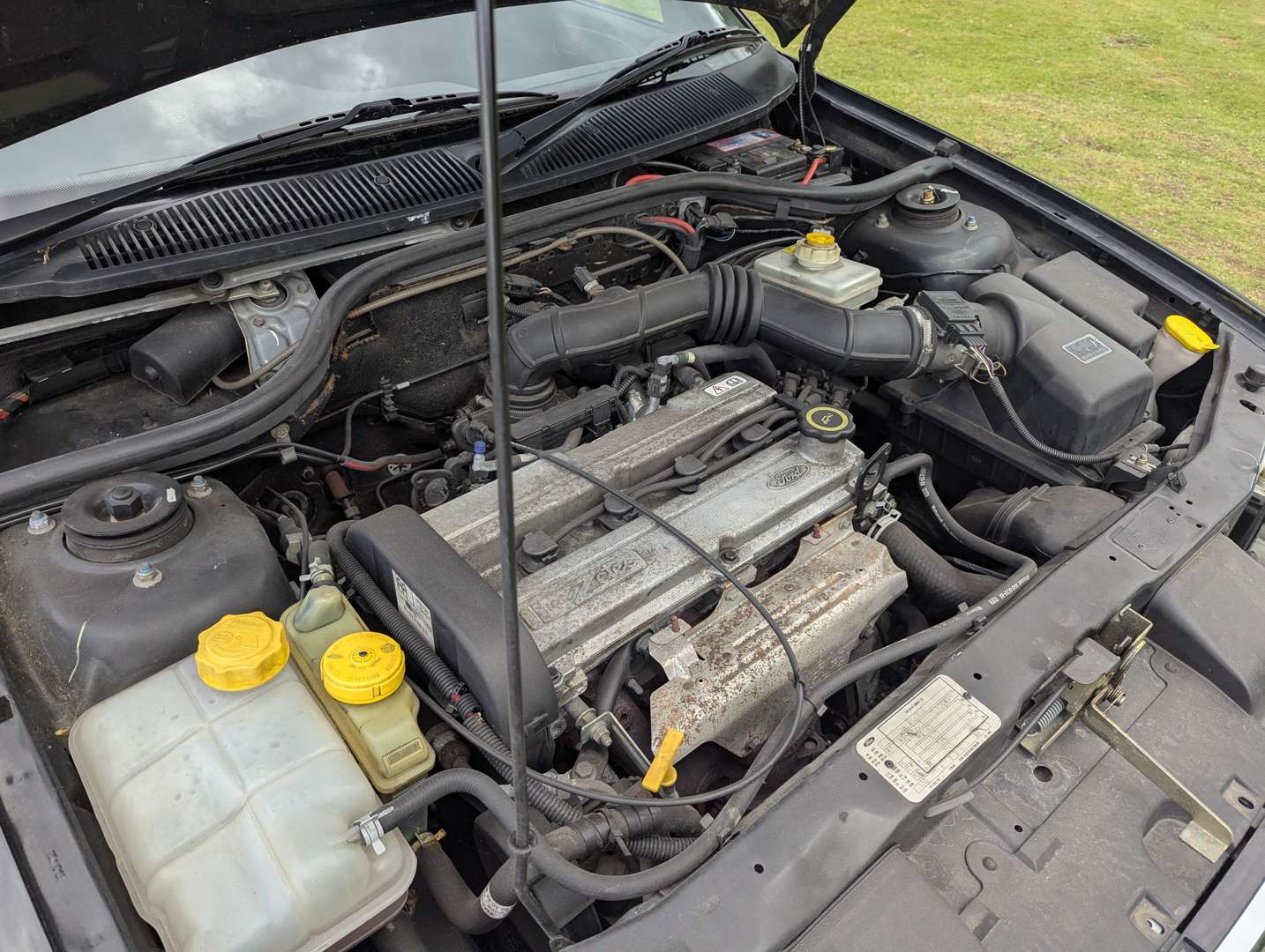 <p>1996 FORD ESCORT SI</p>