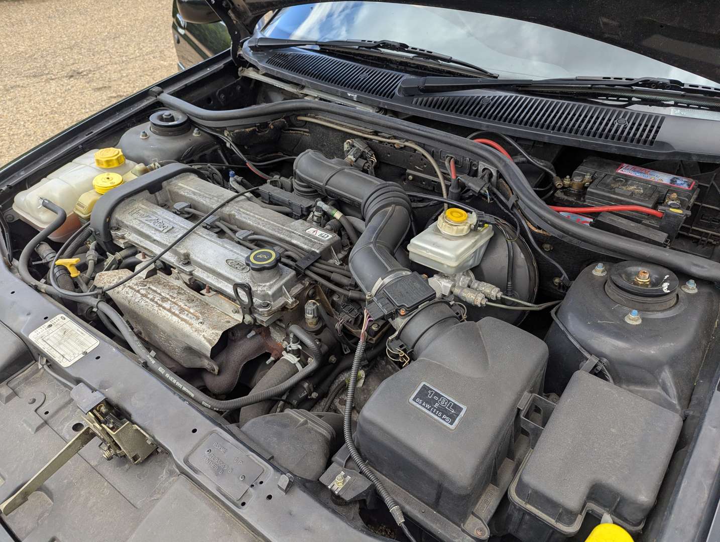 <p>1996 FORD ESCORT SI</p>