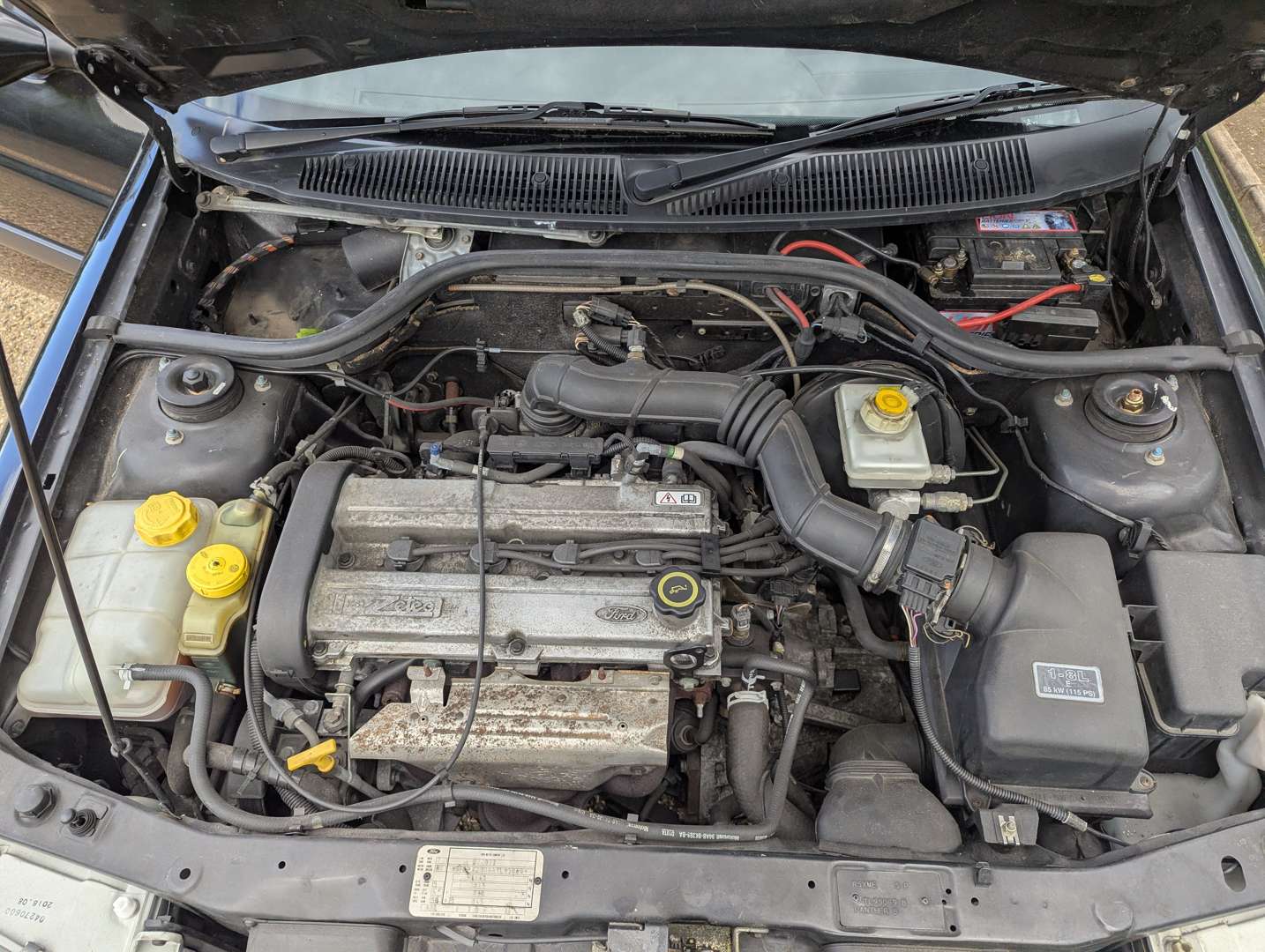 <p>1996 FORD ESCORT SI</p>