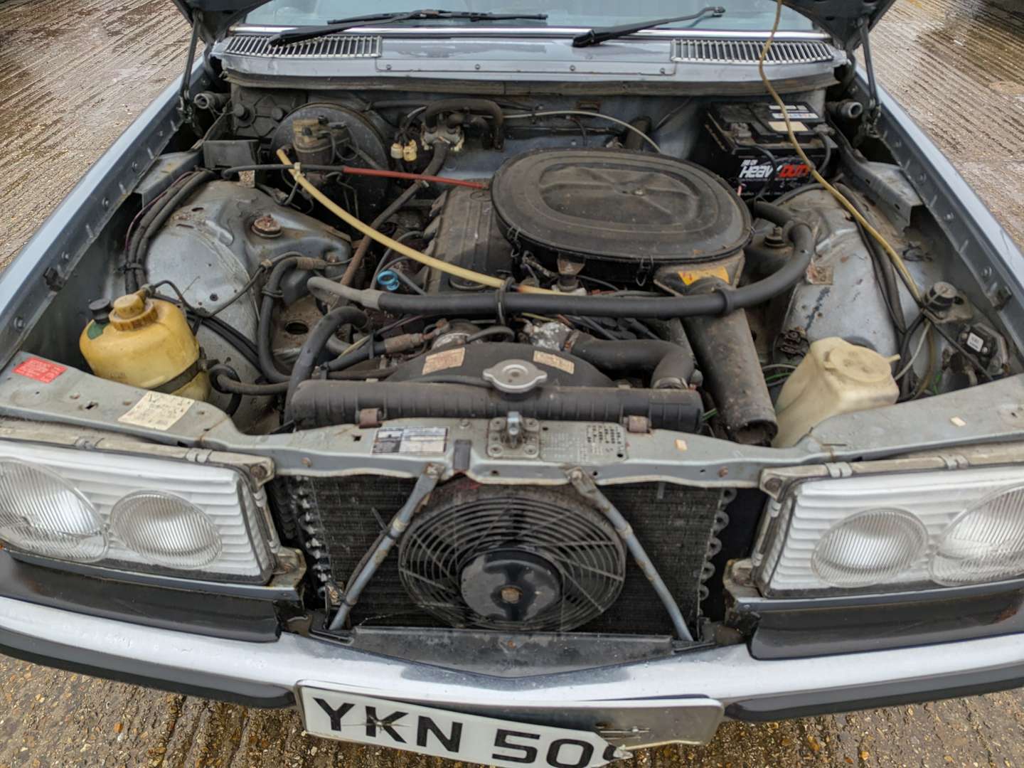 <p>1981 MERCEDES 230E</p>