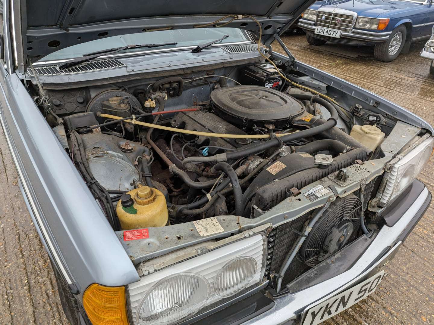 <p>1981 MERCEDES 230E</p>