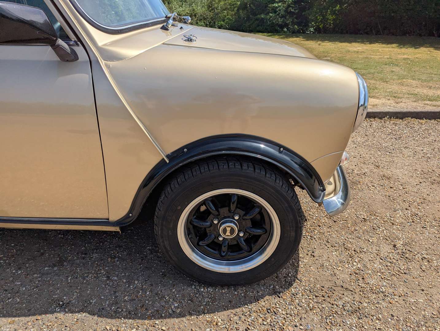 <p>1986 MORRIS MINI</p>
