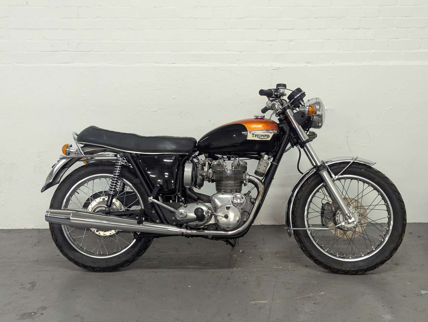 <p>TRIUMPH</p>