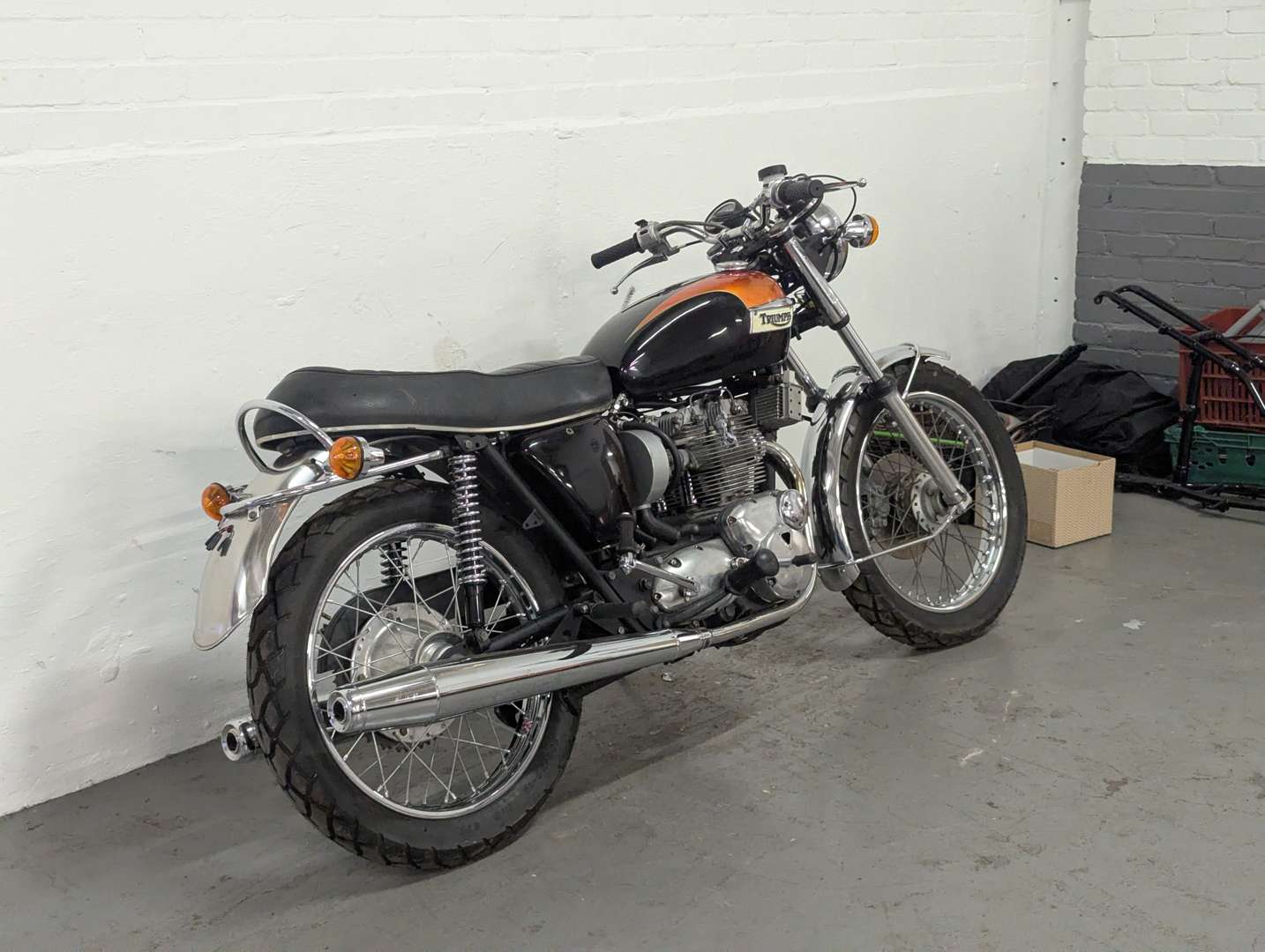 <p>TRIUMPH</p>