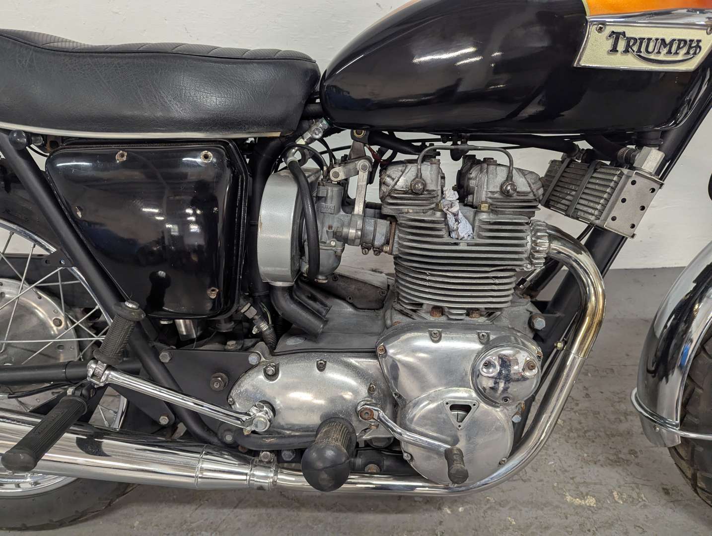 <p>TRIUMPH</p>