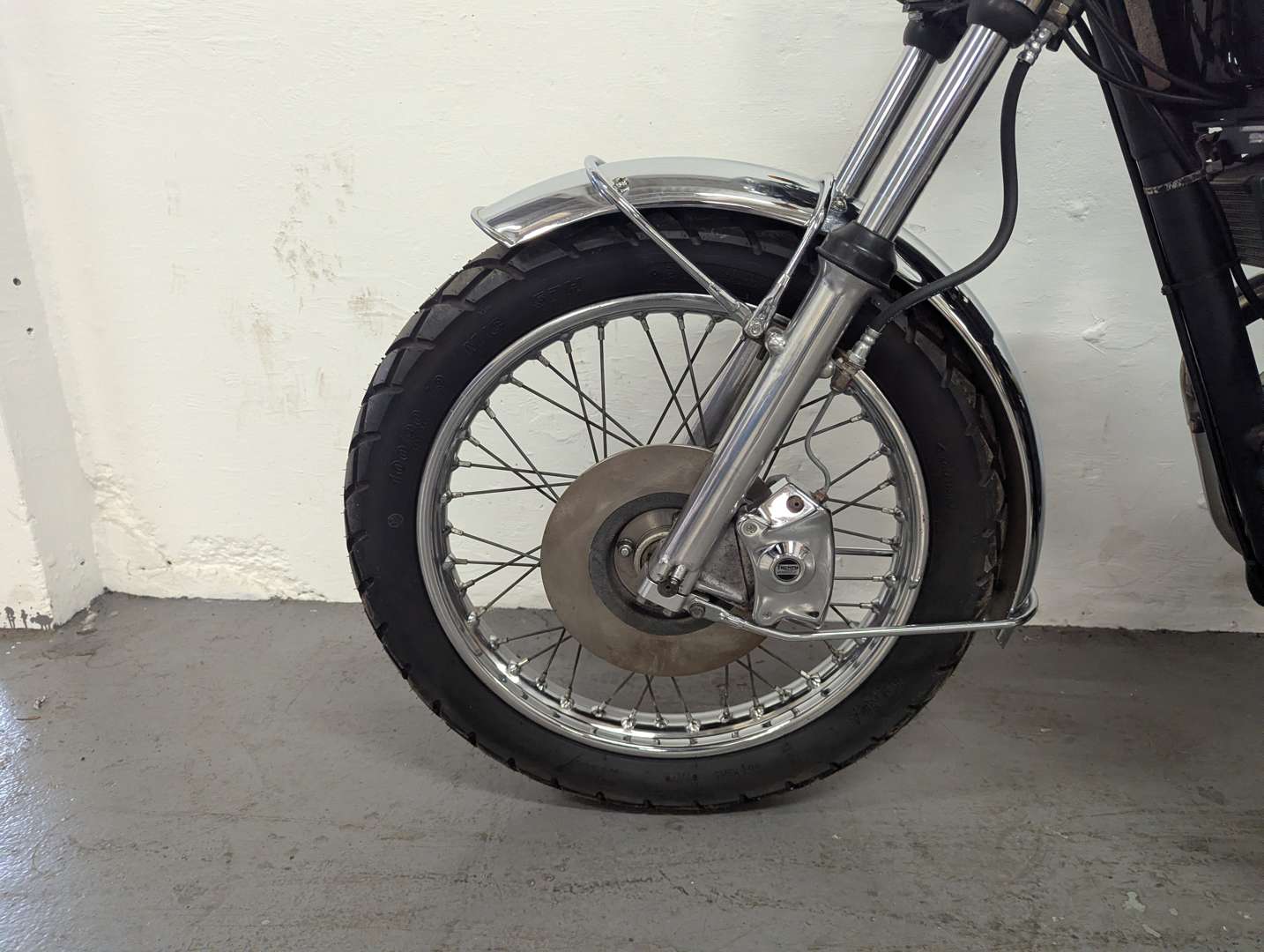 <p>TRIUMPH</p>