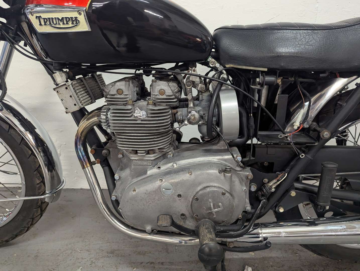 <p>TRIUMPH</p>