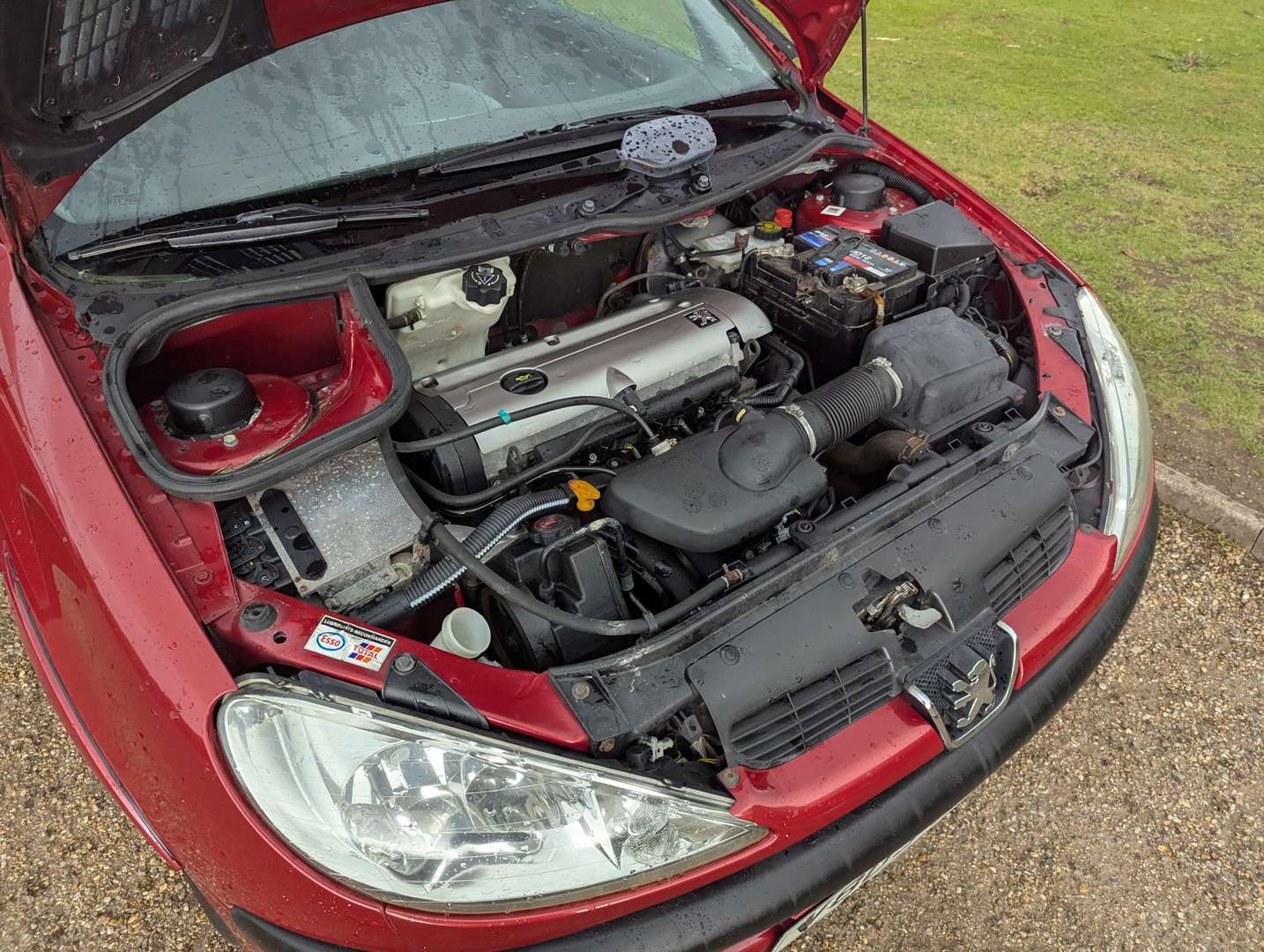 <p>1999 PEUGEOT 206 GTI</p>