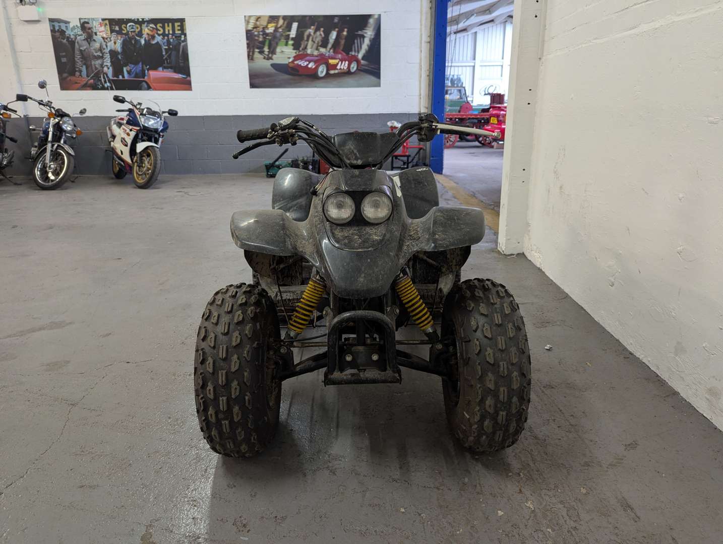 <p>QUADZILLA QUAD BIKE</p>