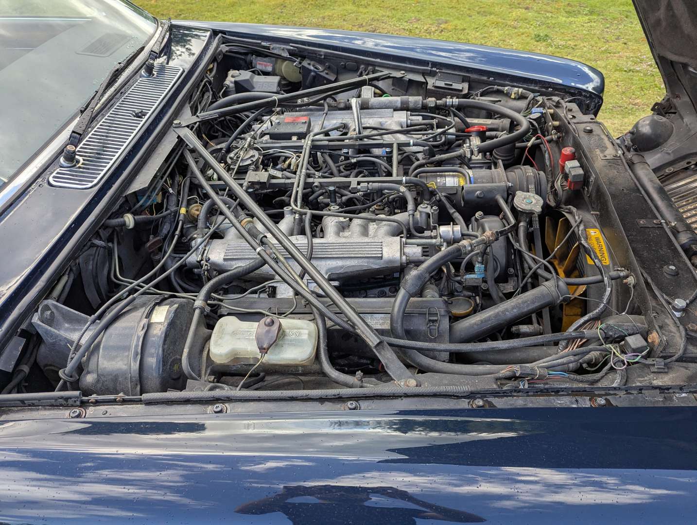 <p>1992 DAIMLER DOUBLE SIX V12 AUTO</p>
