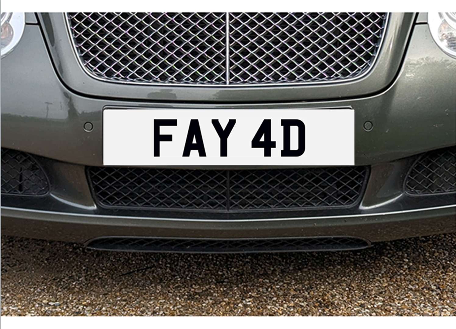 <p>&nbsp; FAY 4D Registration number</p>
