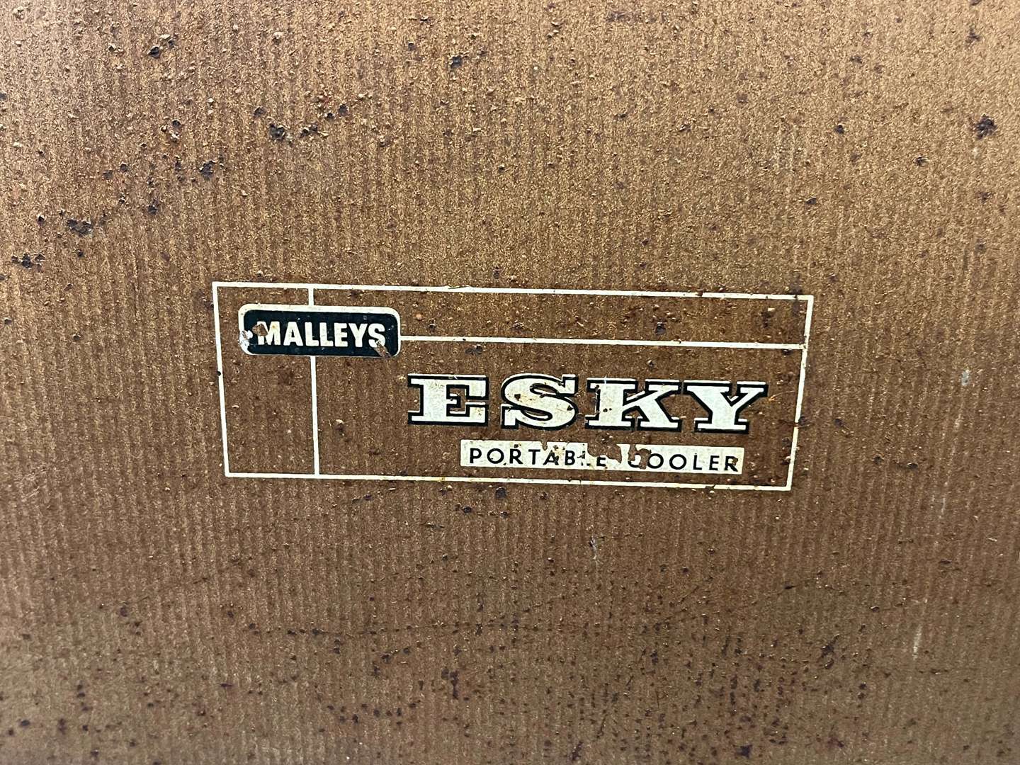 <p>Esky Cool Box and Boot Rack (2)</p>