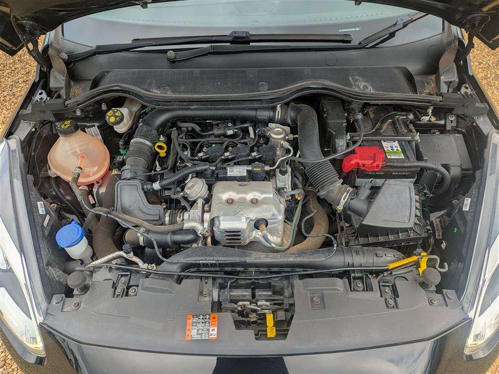<p>2019 FORD FIESTA ACTIVE 1 TURBO</p>