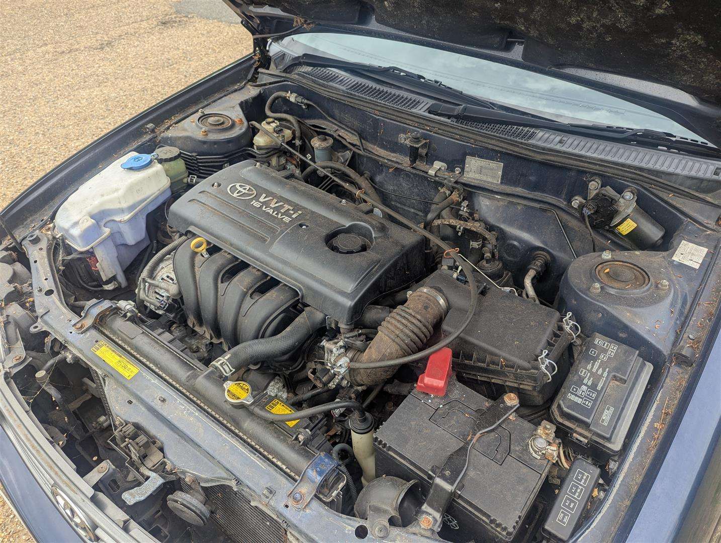 <p>2000 TOYOTA COROLLA VVTI GLS</p>
