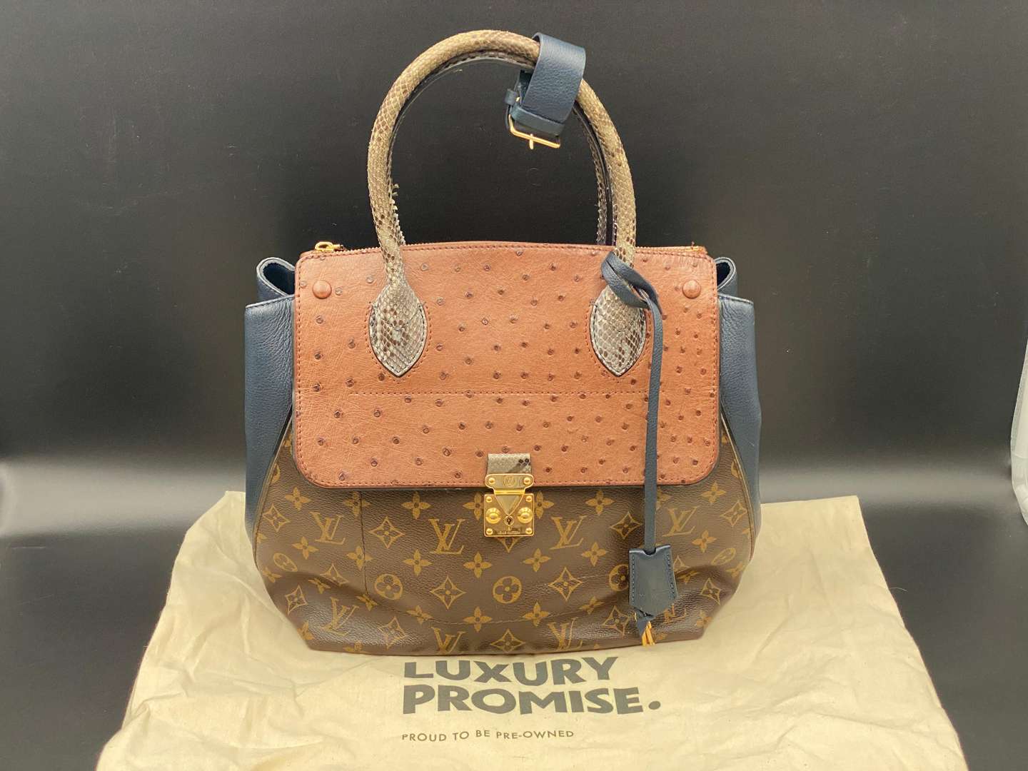 <p>LOUIS VUITTON, MAJESTUEUX, EXOTIQUE TOTE&nbsp;</p>