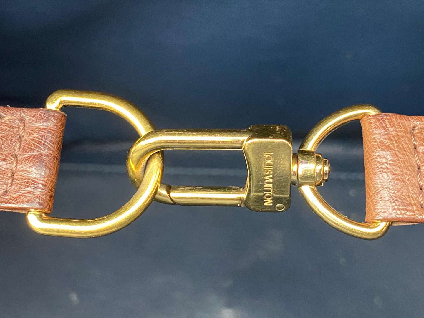 <p>LOUIS VUITTON, MAJESTUEUX, EXOTIQUE TOTE&nbsp;</p>