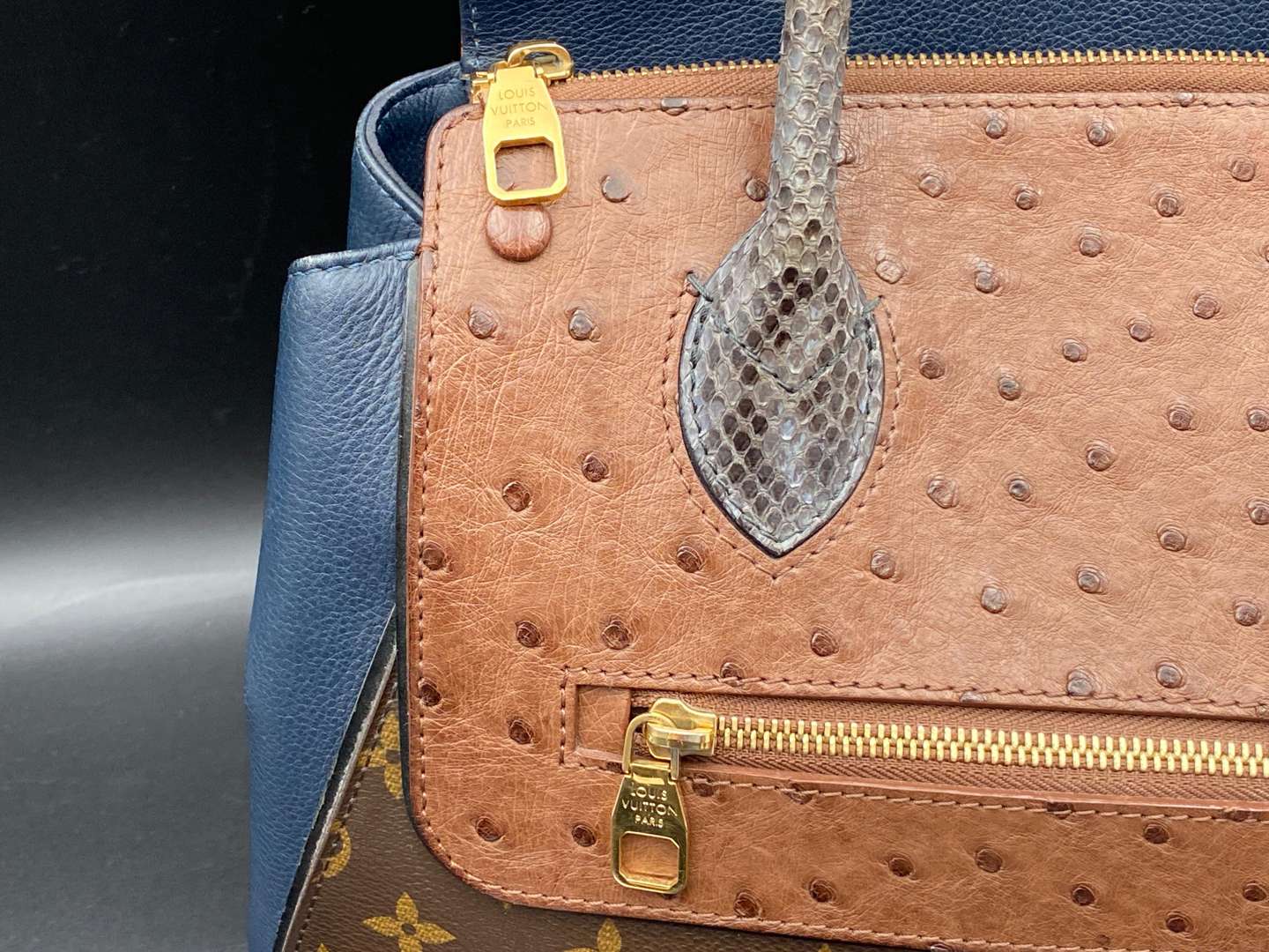 <p>LOUIS VUITTON, MAJESTUEUX, EXOTIQUE TOTE&nbsp;</p>