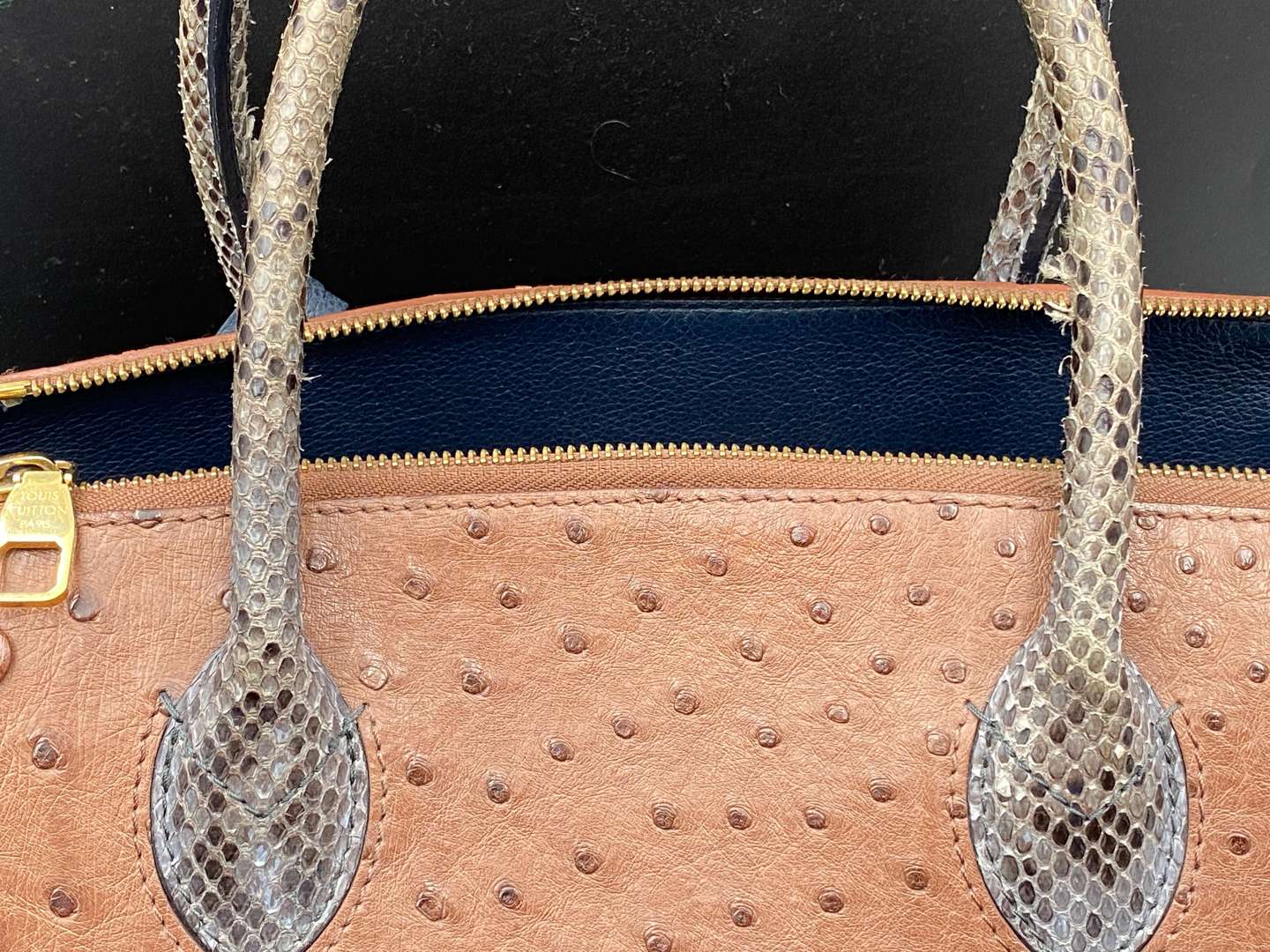 <p>LOUIS VUITTON, MAJESTUEUX, EXOTIQUE TOTE&nbsp;</p>
