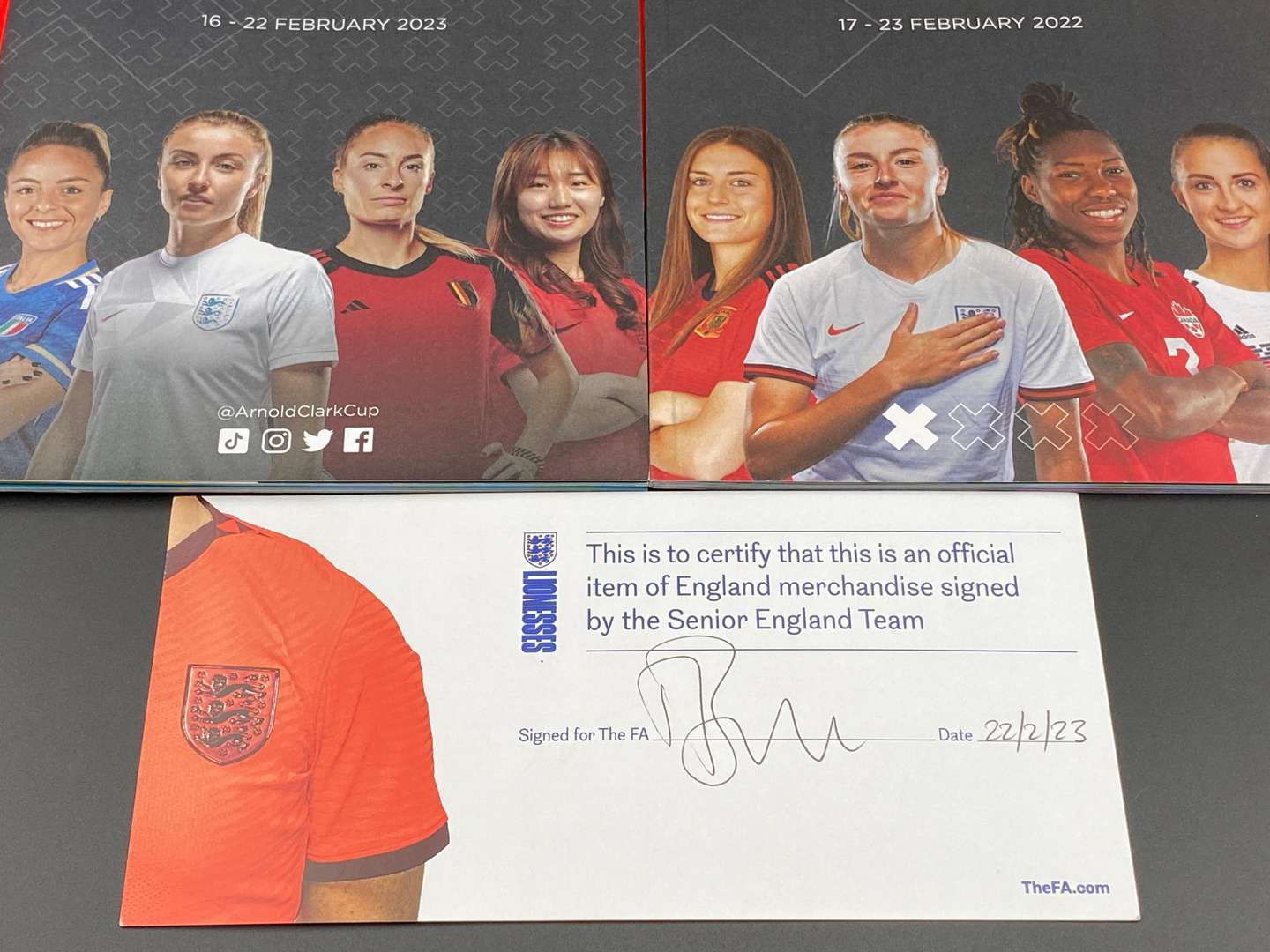 <p>NIKE, BRITISH LIONESSES, 2022/23 SIGNED AWAY SHIRT</p>