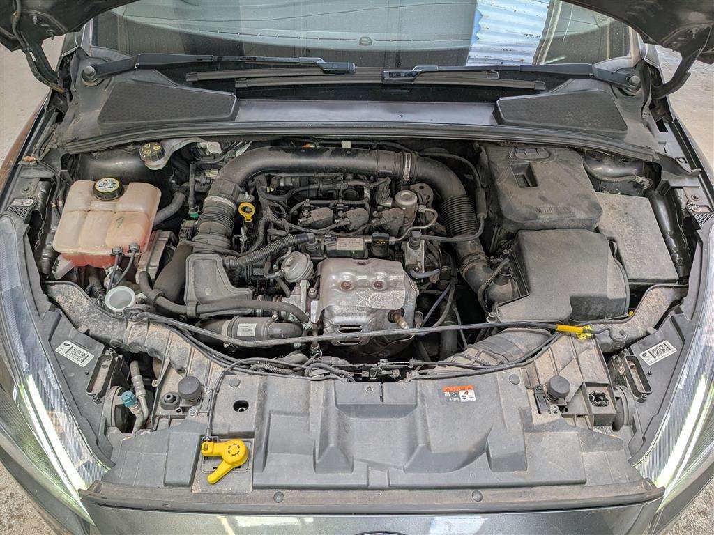 <p>2017 FORD FOCUS ST-LINE</p>