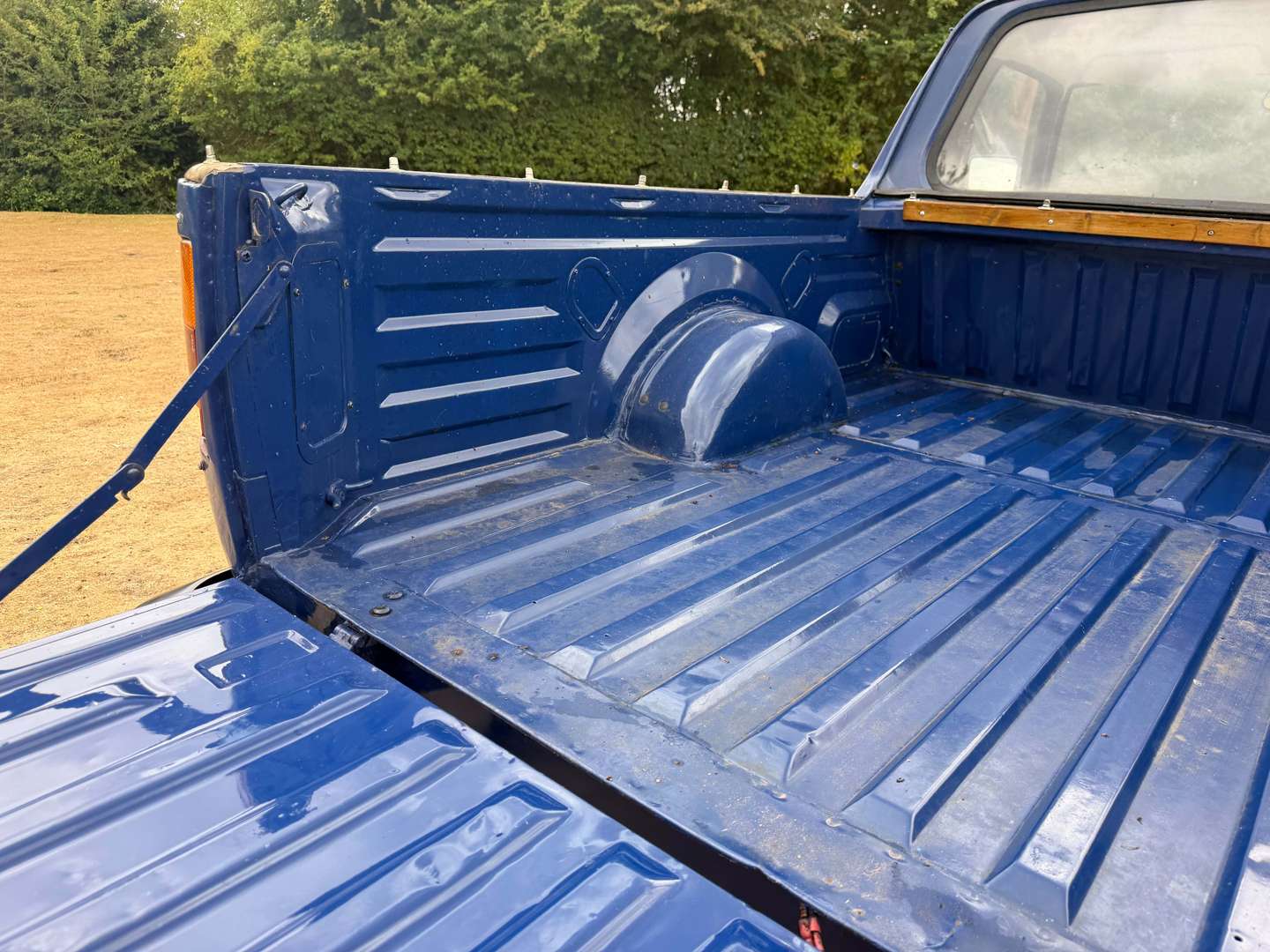 <p>1981 MORRIS 575 PICK-UP</p>