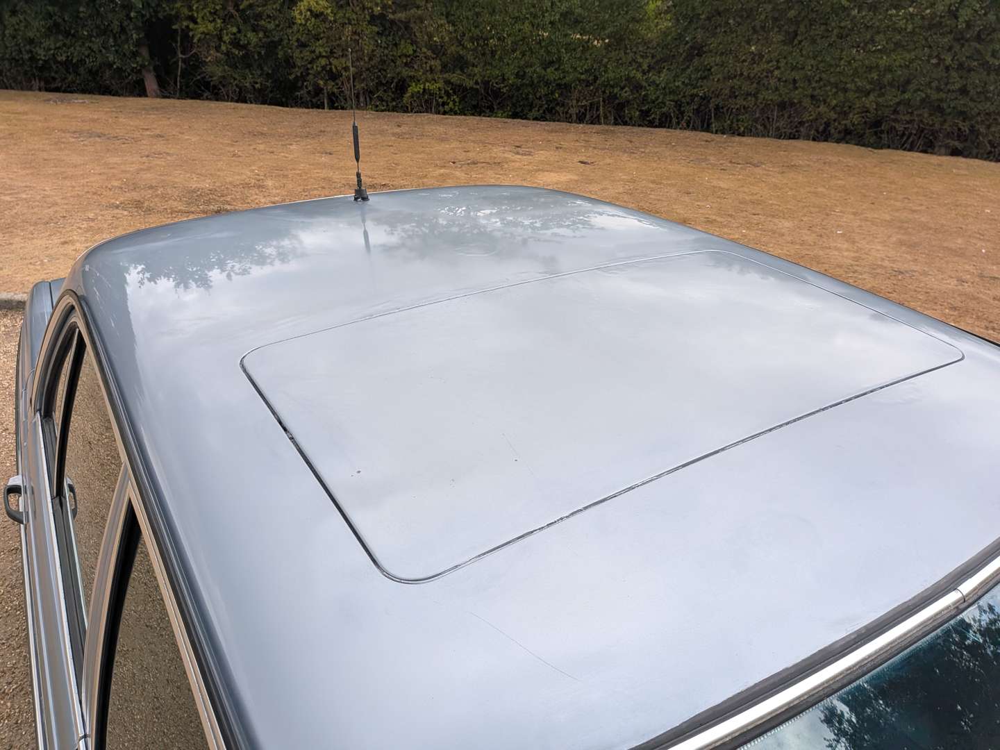 <p>1980 MERCEDES 280E W123</p>
