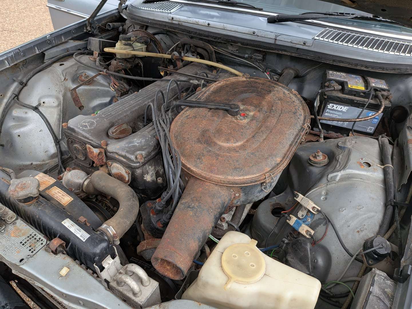 <p>1980 MERCEDES 280E W123</p>